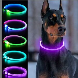 Rechargeable LED Glow Dog/Cat Collar - Purple Safety Collar
